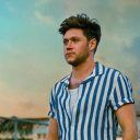 hydrangeahoran avatar