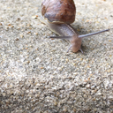 hydrated-trash avatar