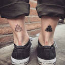 hydrogenation-of-oils avatar