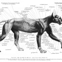 hydrogencrystalsulfide avatar