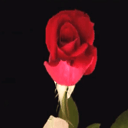 hyhere-blog avatar