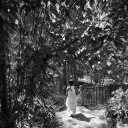 hymnforthemoods avatar