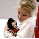 hyperconceptual avatar