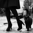 hyperfixationgoddess12 avatar