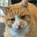 hyperfixations-and-chaos avatar