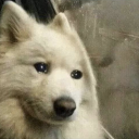 hyperfixations-go-brr avatar