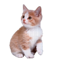 hyperfixationstorageunit avatar