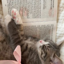 hyperlovesher avatar