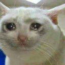 hyperly-fixating avatar