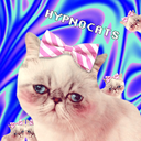 hypnocats avatar