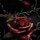 hypnoprincessworld avatar