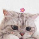 hypnoticmoonlight avatar