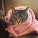 hypnoticspellz avatar