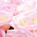 hypotheticaal-blog avatar