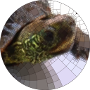 hyrodium avatar