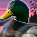 i-am-a-duckling avatar