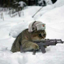 i-am-iron-ham avatar