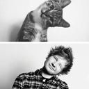 i-am-magicaal avatar