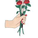 i-am-on-breakaway avatar