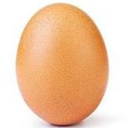 i-am-the-egg-to-rule-all-eggs avatar