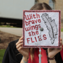 i-believe-im-worth-it avatar