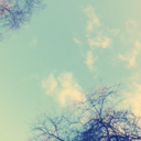 i-believe-in-unicorns avatar