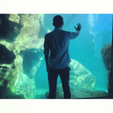 i-came-as-dust avatar