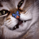 i-can-feel-things avatar