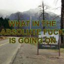 i-cant-breathe-with-the-radio-on avatar