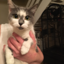 i-cant-wait-till-your-screaming avatar