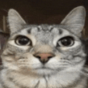 i-dont-know-how-to-name-myself avatar