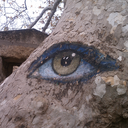 i-feel-it-in-the-earth avatar