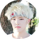 i-found-an-elf-in-myself avatar