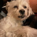 i-get-that-a-lot avatar