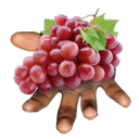 i-give-grapes-to-people avatar