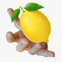 i-give-lemons-to-people avatar