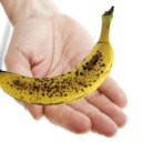 i-give-overripe-bananas-to-peopl avatar