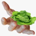 i-give-spinach-to-people avatar