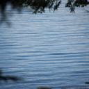 i-got-lost-too avatar