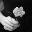 i-hate-me-too-haha avatar