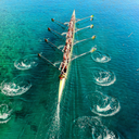 i-hate-rowing avatar