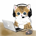 i-have-cats avatar