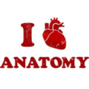 i-heart-anatomy-and-physiology avatar