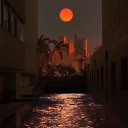 i-hope-your-flowers-bloom avatar