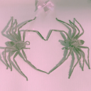 i-hug-spiders avatar