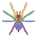 i-identify-tarantulas-in-posts avatar