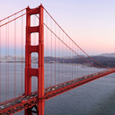 i-left-my-heart-in-san-francisco avatar