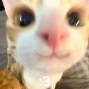 i-love-linux-and-i-am-back avatar