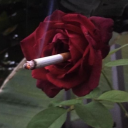 i-love-you-lithium avatar