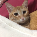 i-love-youuuuu avatar